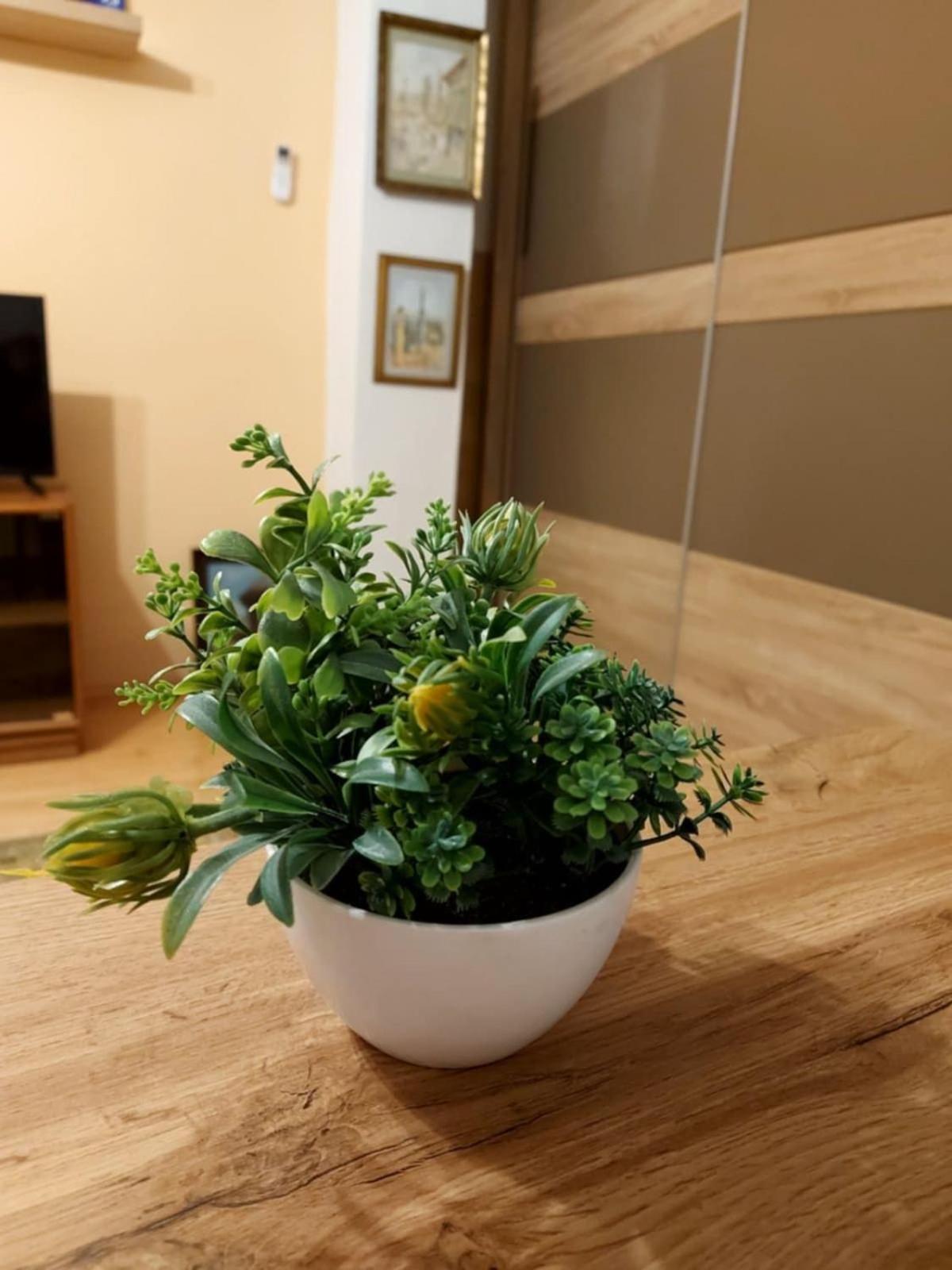 Little&Sweet Apartman Szarajevó Kültér fotó